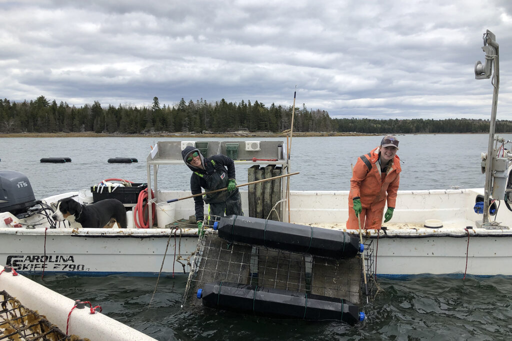 Article image for Mapping seafood workforce’s hidden gender gap: The challenge that ‘isn’t always visible’