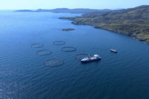 First salmon stocked at high-energy offshore aquaculture site in Scotland’s Western Isles