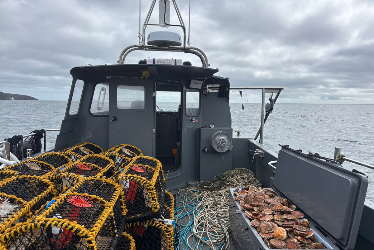 baitless fishing
