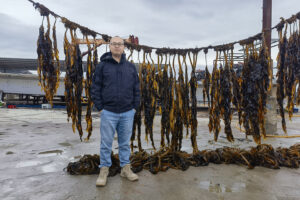 ‘Climate warming is pushing seaweed aquaculture to rethink geographic and biological limits’