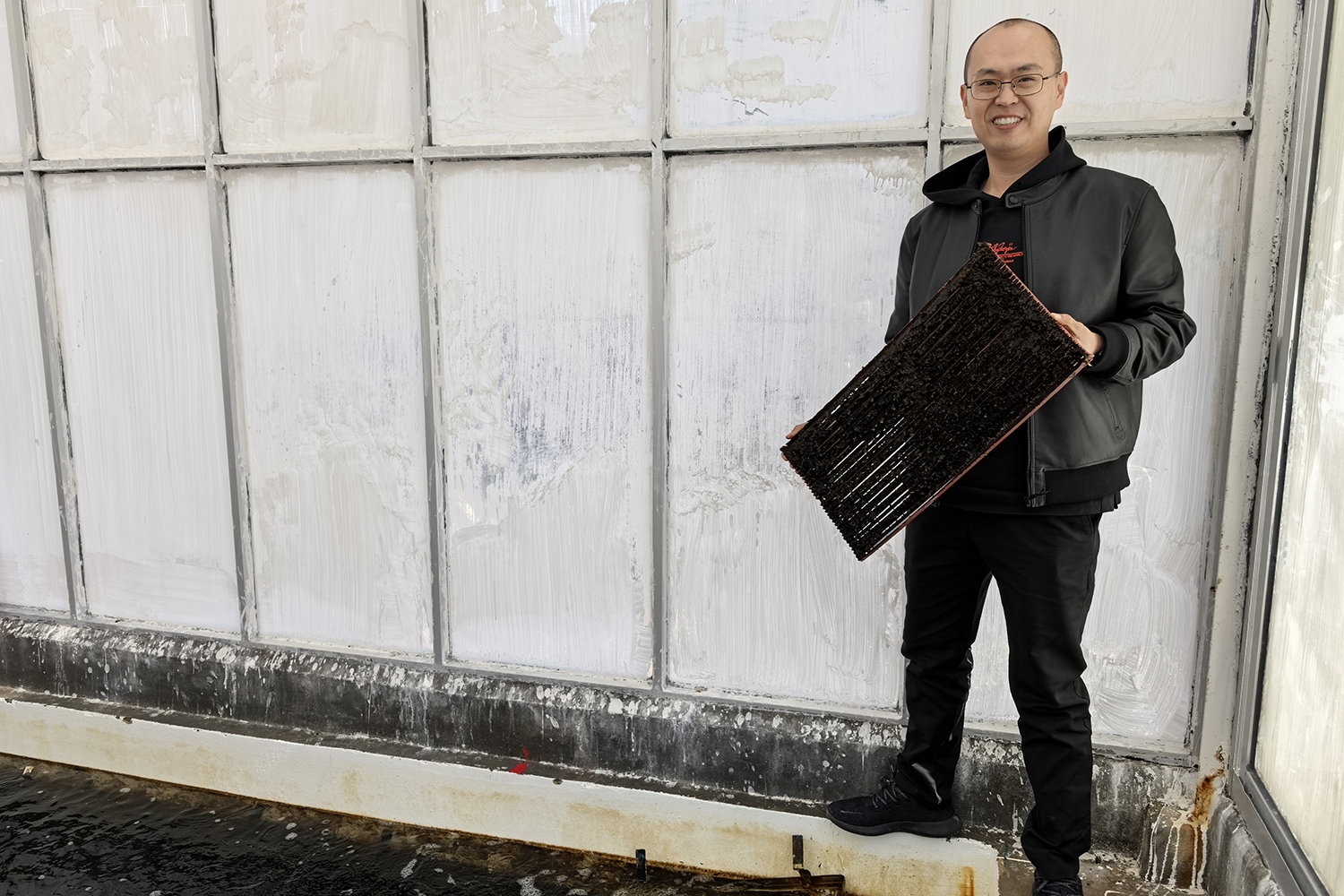 seaweed farming