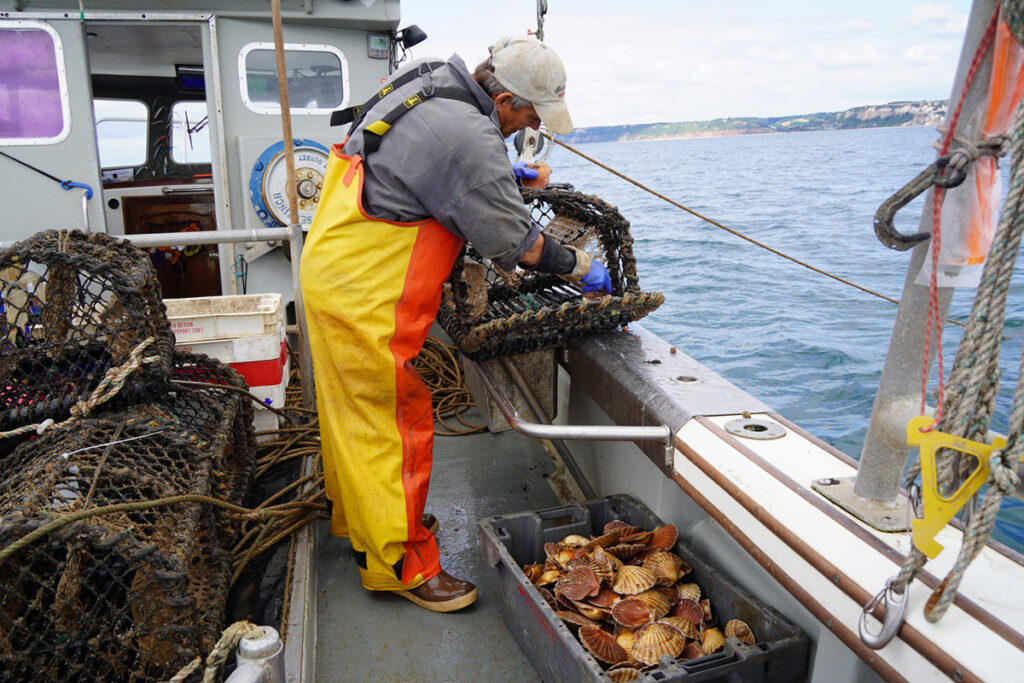 Article image for Beyond bait: Fisheries innovators use light, behavior and biology to reduce impact