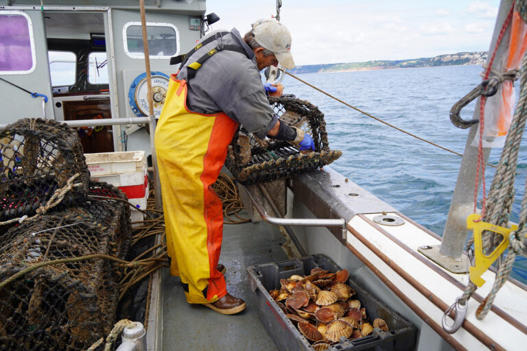 Article image for Beyond bait: Fisheries innovators use light, behavior and biology to reduce impact