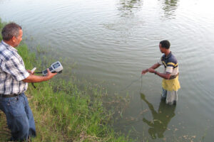 Water quality impacts on health and performance of fish and shrimp, Part 3: The nitrogenous compounds ammonia, nitrite and nitrate
