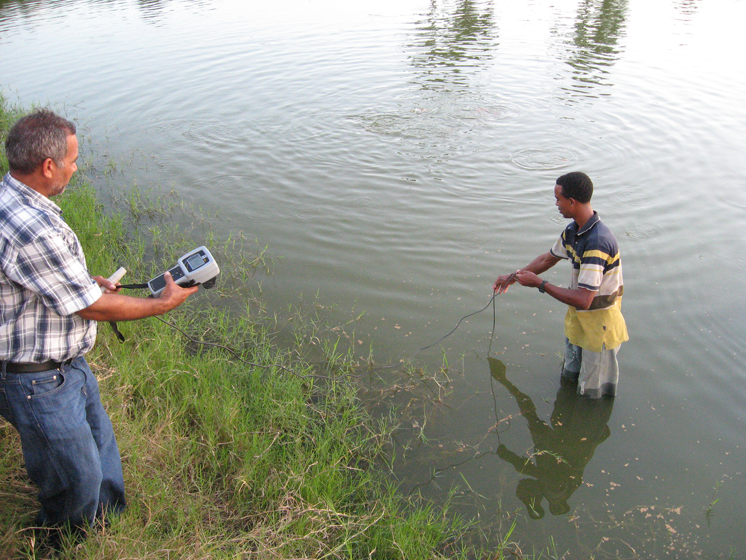water quality