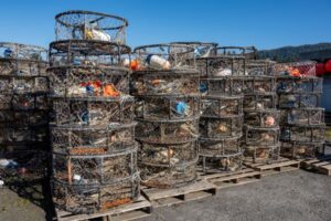 Study outlines climate resilience strategy for U.S. seafood industry