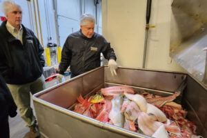 Responsible Seafood Innovation Award finalist: Why using 100% of Great Lakes fish is ‘the right thing to do’
