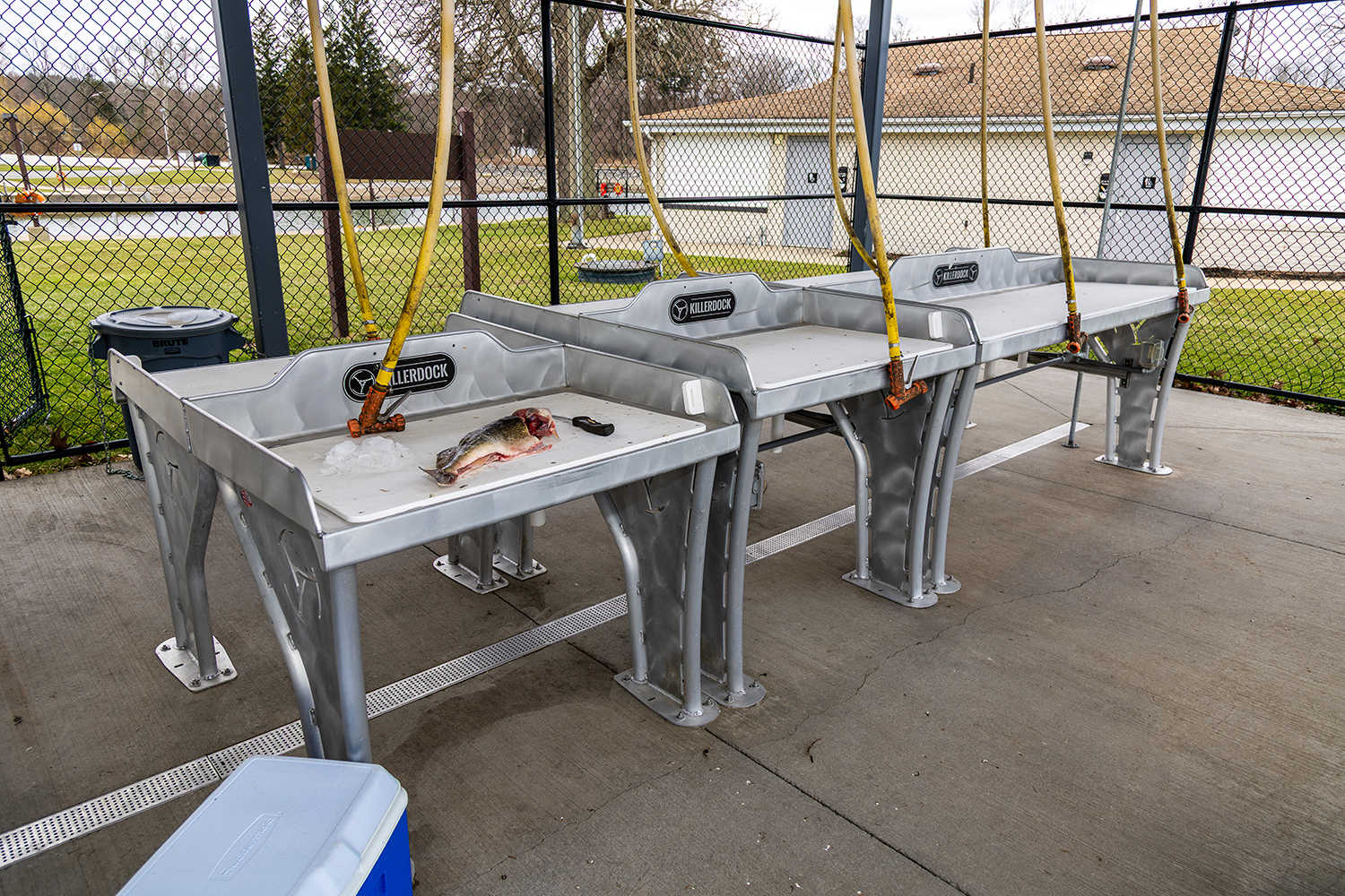 seafood innovation