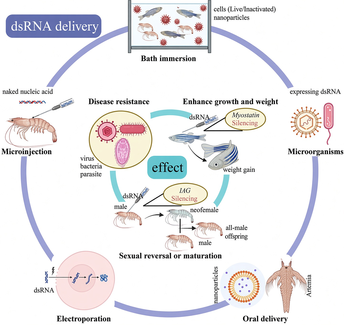 RNA interference