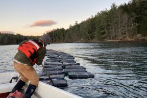 From space to shellfish: How satellites are mapping Maine’s oyster farming future