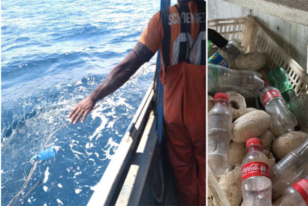 seafood innovation