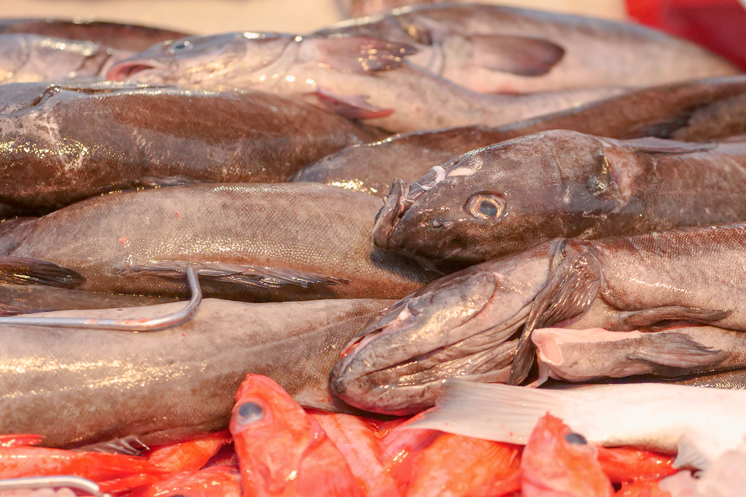 seafood trade