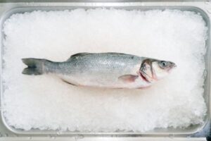 Wisconsin aquaculture research center joins initiative to create value from fish byproducts