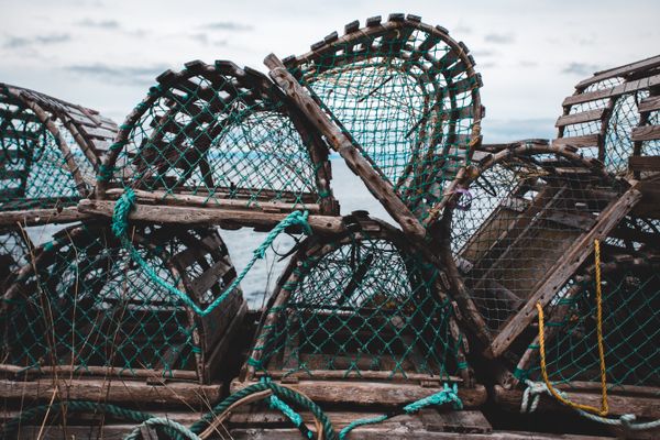 lobster fisheries