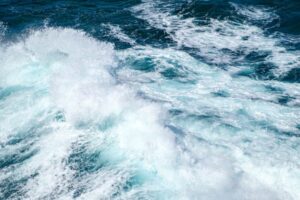 Study: Marine heatwaves pose growing risks to seafood safety and human health