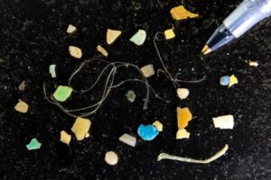 Seaweed-inspired ‘fluffy net’ captures ocean microplastics in freshwater and seawater