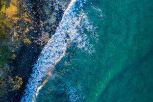 Ocean warming could cut omega-3 levels in seafood, study finds