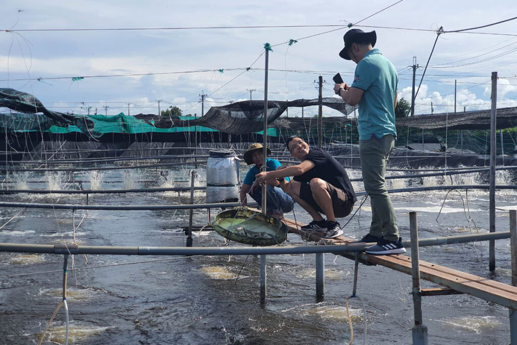 Article image for Responsible Seafood Innovation Award finalist: Learning from farm failures to develop an on-site rapid test to detect shrimp diseases