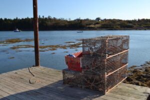 Study: American lobster fishery’s past could help improve future forecasts