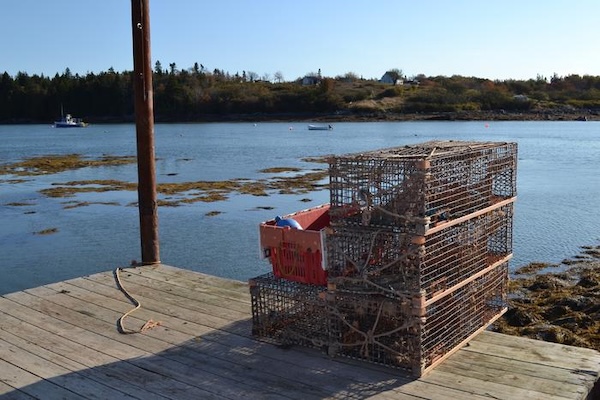 Lobster fishery