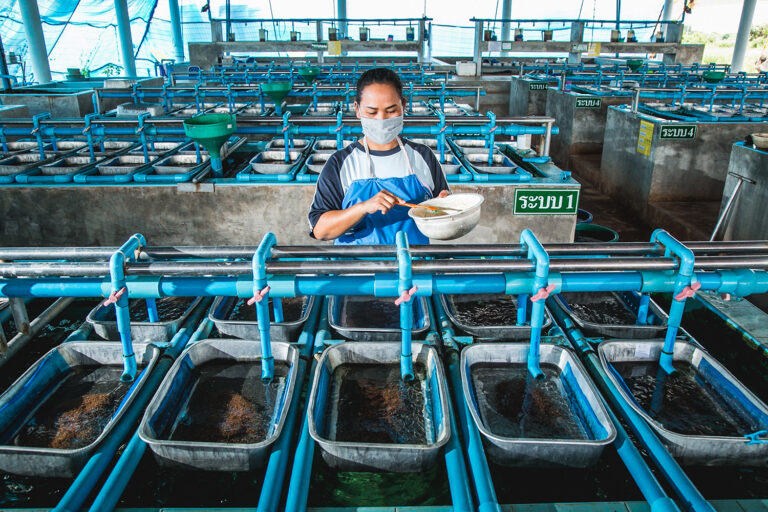Article image for ‘I worked across every department.’ One woman’s journey within Thailand’s aquaculture sector
