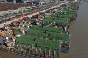 A movement reimagines a shared seafood future for East Asia