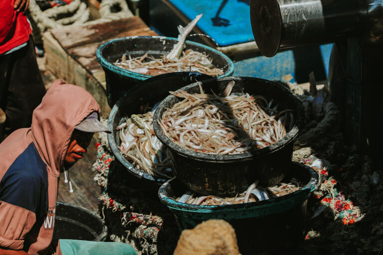 Article image for Analysis: When will social impact lead seafood’s sustainability agenda?