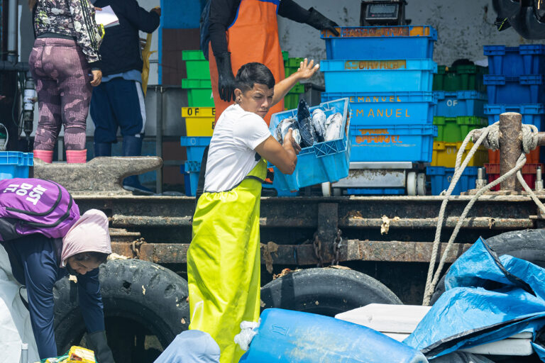 Article image for Grievance systems exist for seafood workers, but they’re infrequently used. What is industry missing?