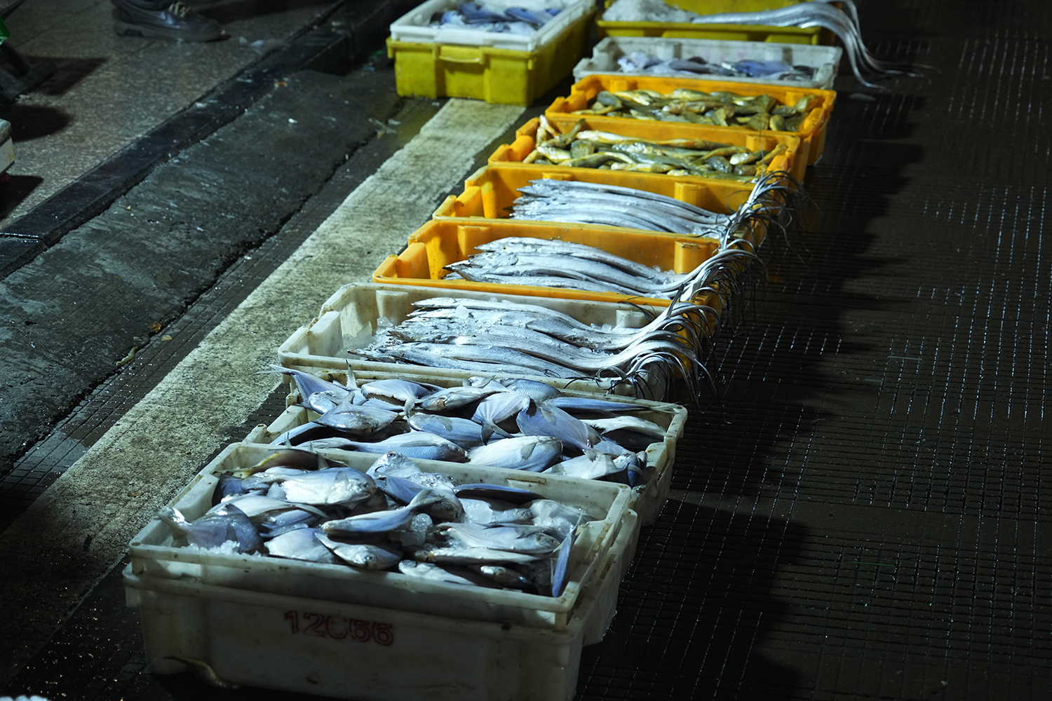 seafood