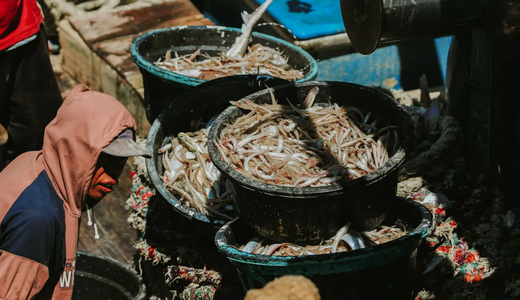 Image for article: Analysis: When will social impact lead seafood’s sustainability agenda?