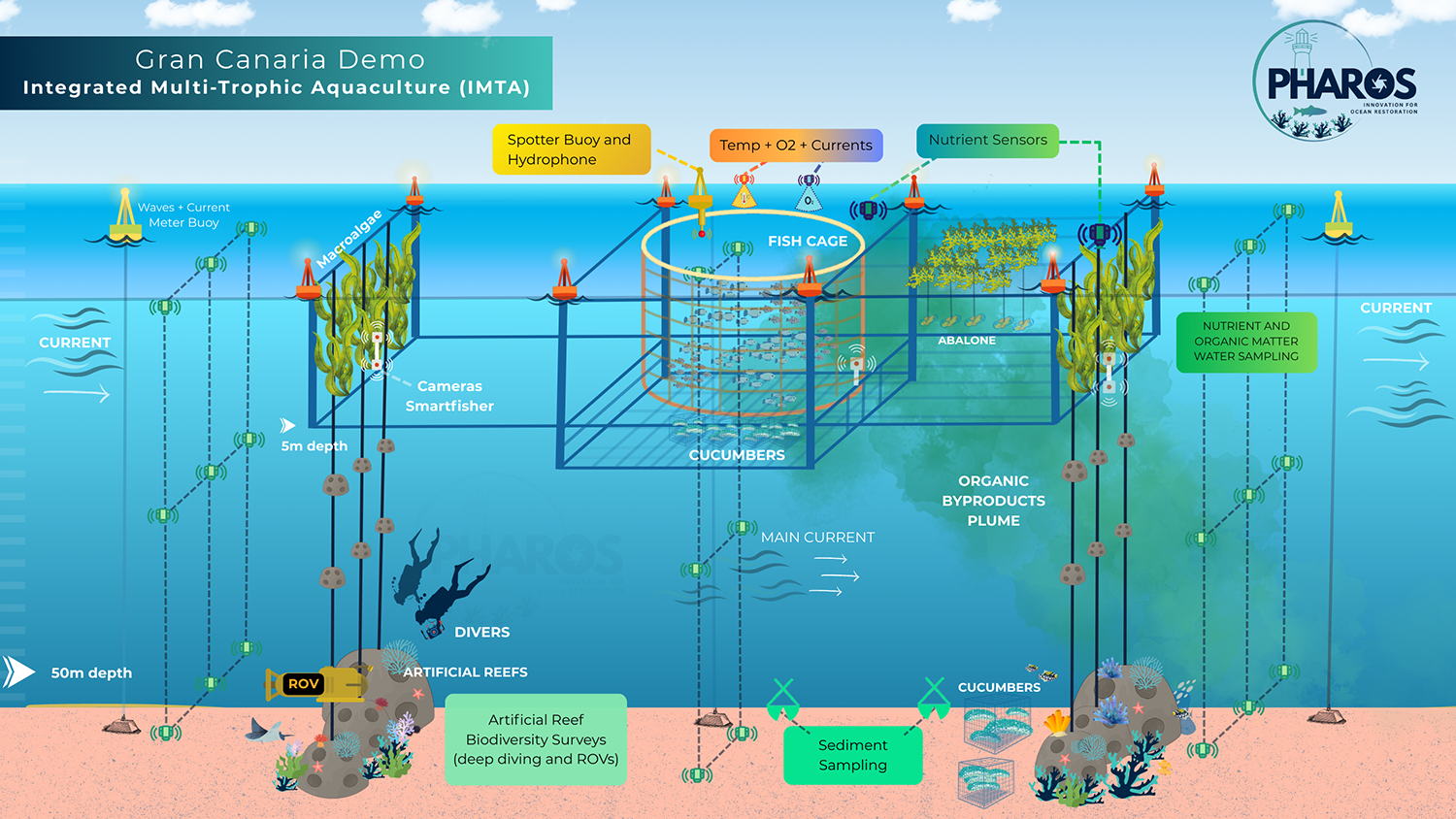 regenerative aquaculture