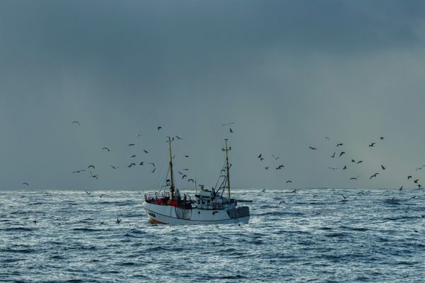 fisheries management