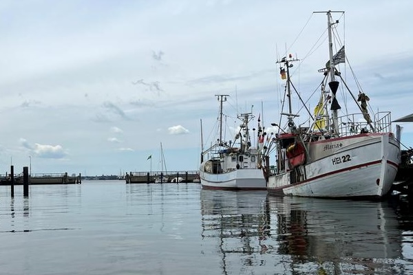 Article image for Study of historic Baltic herring fishery collapse offers lessons for modern fisheries management