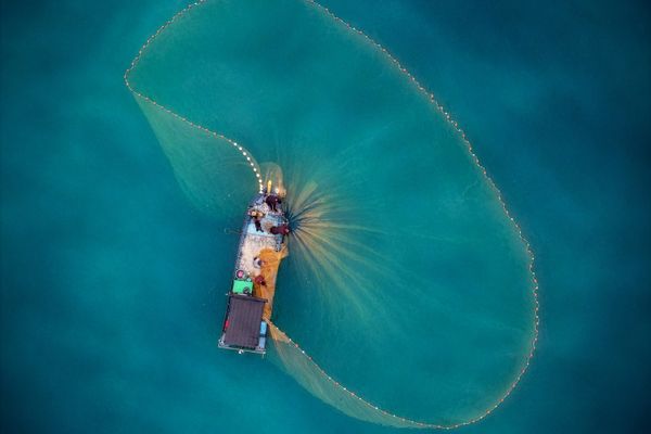 illegal fishing