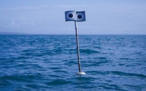 ‘Floating scarecrow’ could help fishermen reduce seabird bycatch